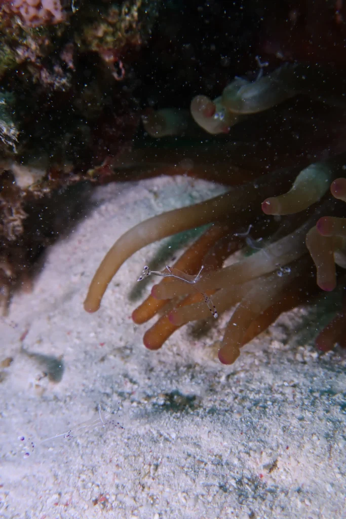 IMG-20231216-WA0088 (2)