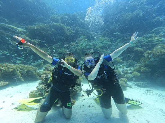 Open Water Diver Course