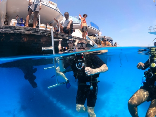 Discover Scuba Diving