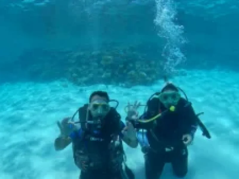 Diving Courses