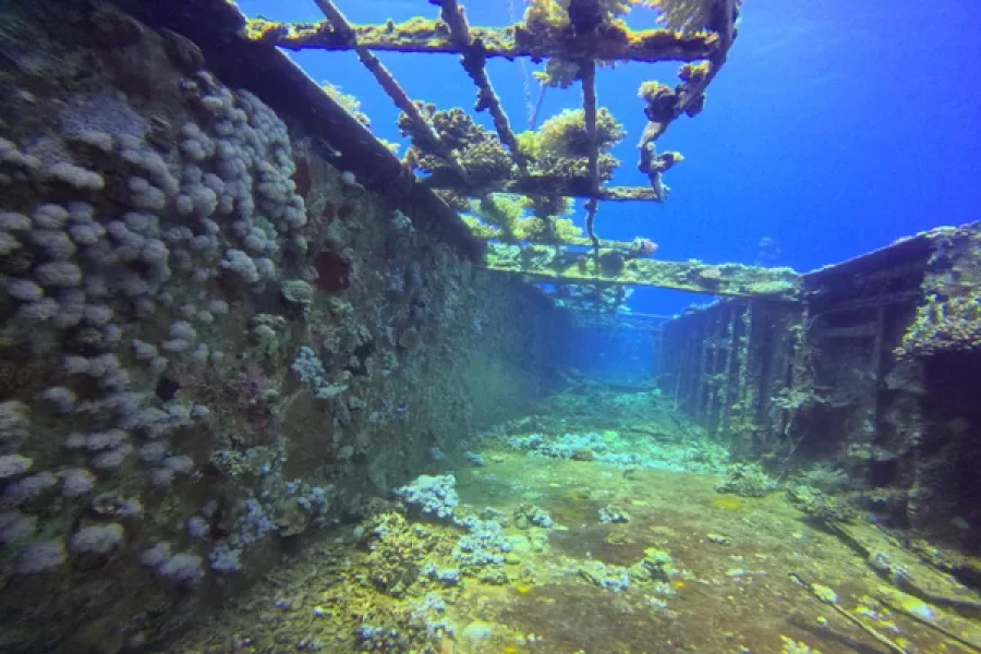 Salem Express Shipwreck dive