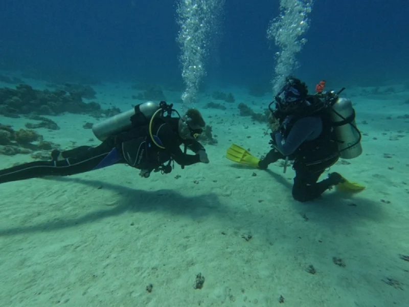 Diving Courses