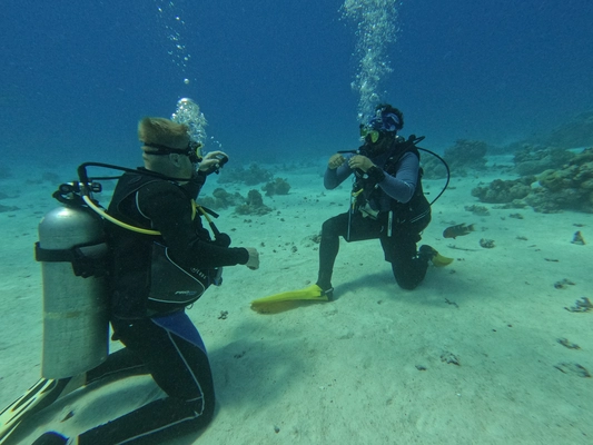 Open Water Diver Course