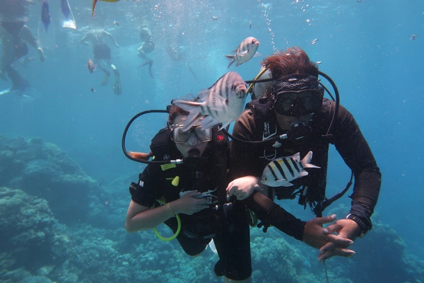 Discover Scuba Diving