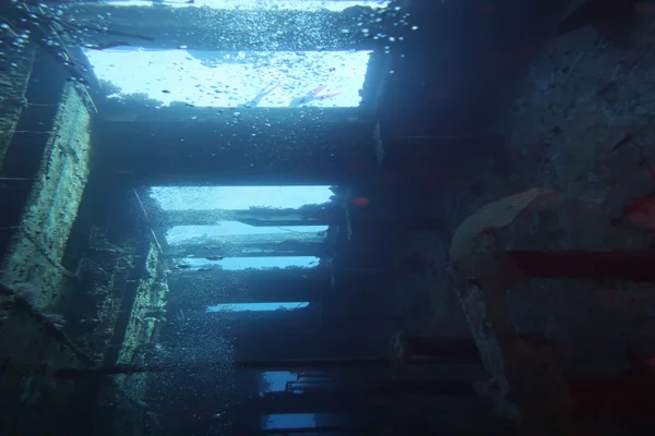 Salem Express Shipwreck dive