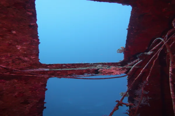 Salem Express Shipwreck dive