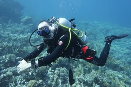 Daily Diving Trip