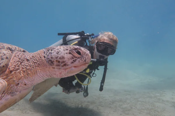 Advanced Open Water Diver Course